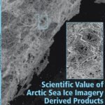 Scientific Value of Arctic Sea Ice Imagery Derived Products