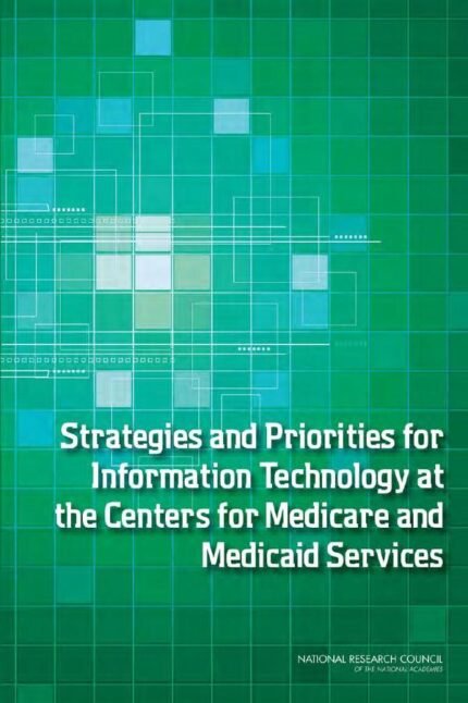 Strategies and Priorities for Information Technology at the Centers for Medicare and Medicaid Services