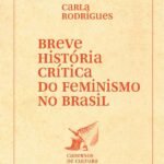 Breve história crítica do feminismo no Brasil
