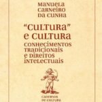 Cultura e "cultura": conhecimentos tradicionais e direitos intelectuais