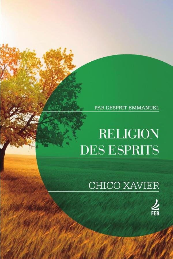 1506844_IMAGEN_TAPA_G_001 Religion des esprits (Religião dos espíritos - Francês) - Imagen 1