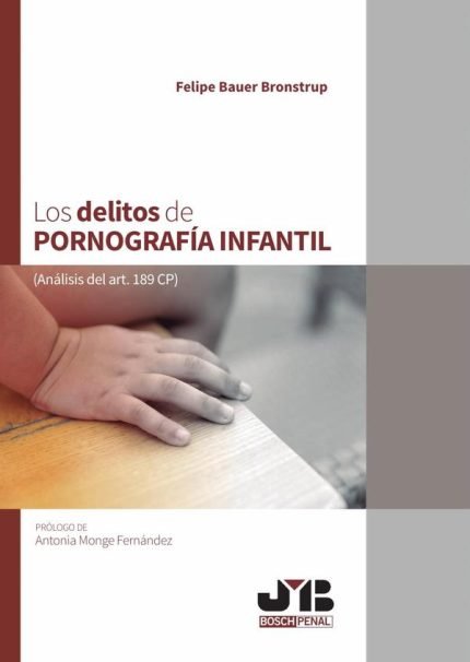 Los delitos de pornografía infantil: Análisis del art. 189 CP.