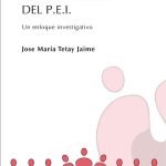 Criterios para la construcción del P.E.I: Un enfoque investigativo