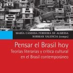 Pensar el Brasil hoy: Teorías literarias y crítica cultural en el Brasil contemporáneo