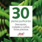 30 plantas purificantes