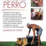 Viajar con su perro