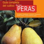 Guía completa del cultivo de las peras: Cómo cultivar peras con éxito