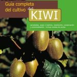 Guía completa del cultivo del kiwi: Cultivo y cuidados del kiwi paso a paso
