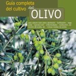 Guía completa del cultivo del olivo: Técnicas eficaces para el cultivo del olivo