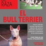 El bull terrier