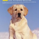 El Labrador