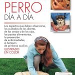 Los cuidados del perro día a día