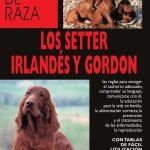 Los setter irlandés y gordon