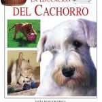 La educación del cachorro