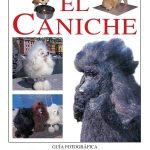 El caniche