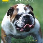 El bulldog