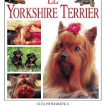 El yorkshire terrier