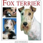 El fox terrier