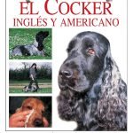 El cocker inglés y americano