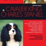 El cavalier king charles spaniel