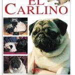 El carlino