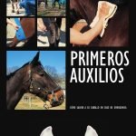 Primeros auxilios