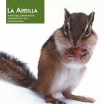 La ardilla