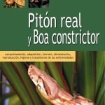 Pitón real y boa constrictor