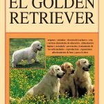 El Golden retriever