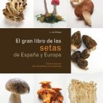 El gran libro de las SETAS de España y Europa