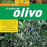 El cultivo del olivo