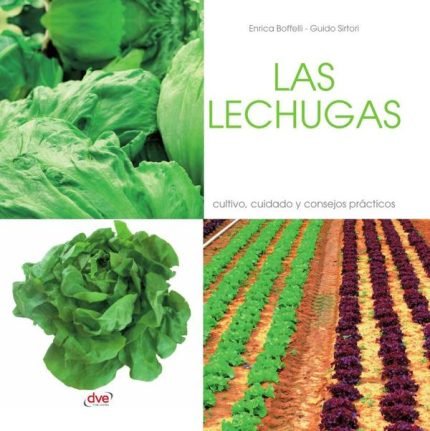 Las lechugas