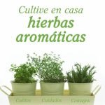 Cultive en casa hierbas aromáticas