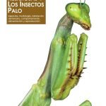 Las Mantis religiosa y los insectos palo