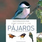 Cómo atraer a los pájaros a su balcón o jardín