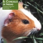 El conejillo de indias