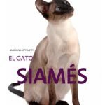 El gato siamés