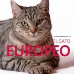 El Gato Europeo