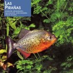 Las pirañas