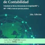 Normas Internacionales de contabilidad. Entendiendo las Normas Internacionales de contabilidad/NIIF® y NIIF®-PYMES a través de ejercicios prácticos. 2da. Edición