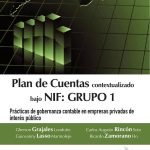 Plan de cuentas contextualizado bajo Nif: Grupo 1 prácticas de gobernanza contable en empresas privadas de interés público