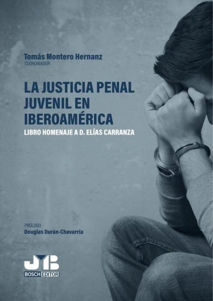 La justicia penal juvenil en Iberoamérica: Libro homenaje a D. Elías Carranza