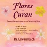 Flores que curan
