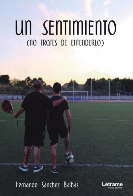 Un sentimiento (no trates de entenderlo)