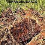 El Compadre El Diablo El Padrino: Nayarit, tierra del narco
