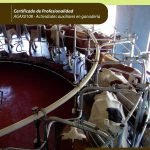 Operaciones auxiliares de mantenimiento de instalaciones y manejo de maquinaria y equipos en explotaciones ganaderas. AGAX0108 - Actividades auxiliares en ganadería