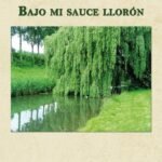 Bajo mi sauce llorón