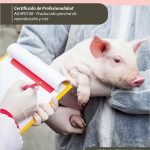 Cuidados en cerdas de renuevo, reproductoras y lechones. AGAP0108 - Producción porcina de reproducción y cría