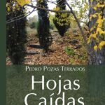 Hojas caídas
