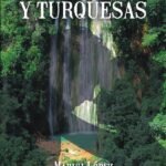 Verdes, azules y turquesas